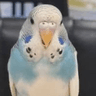 Hiku2