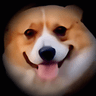 ^_____^